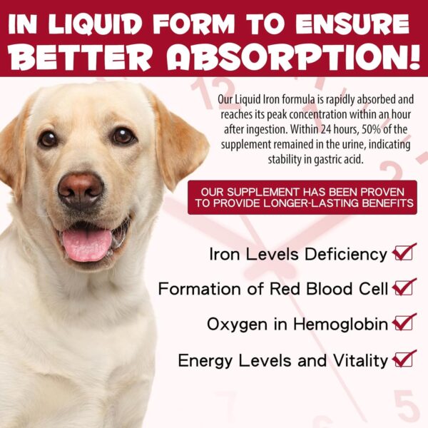 Iron Supplements for Dogs, Liquid Iron for Dogs with Folate and B12 Supports Anemia, Supplement for Anemia in Dogs, Promotes Blood Health 2 oz - Image 4