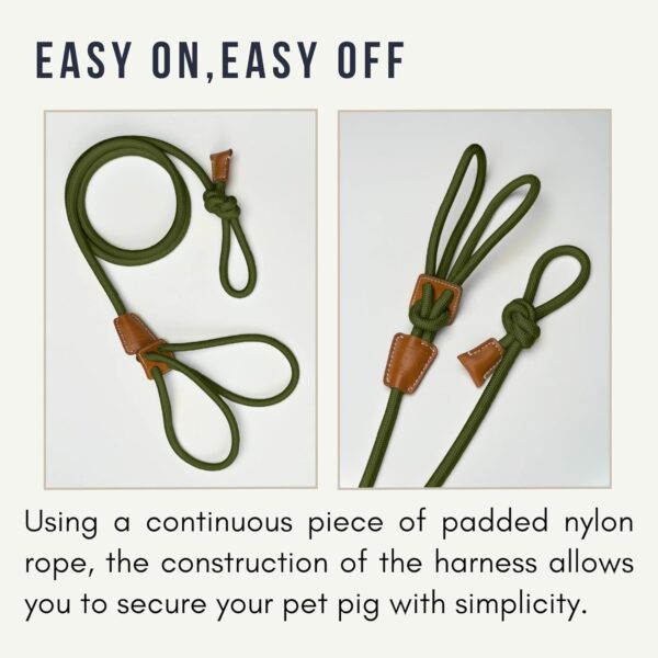 Mini Pig Harness & Leash (Small) Fully Adjustable, Infinity Style Lead, Step-in Harness, Potbelly Pig Supplies, All-in One, Pig Leash, Ideal for Small & Medium Pet Pigs (Small, Olive Green) - Image 4