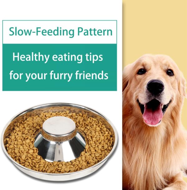 Dog Bowl Slow Feeder Stainless Steel Food and Water Dish Metal Dish Cat Bowls for Indoor Cats Tray - Image 4