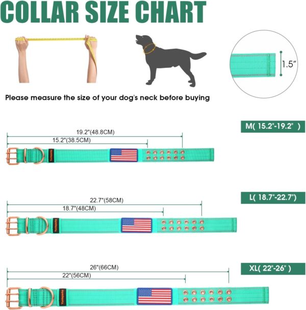 Heavy Duty Dog Collar Tactical Dog Collar with Neoprene Padded,Metal Buckle Dog Collar Reflective Nylon Collar for Medium Large Dog's Walking (Teal, Large) - Image 5