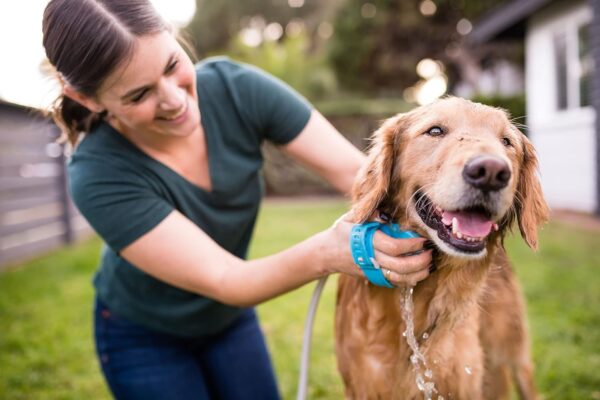 Aquapaw Dog Bath Brush Pro - Sprayer and Scrubber Tool in One - Indoor/Outdoor Dog Bathing Supplies - Pet Grooming for Dogs with Long and Short Hair - Dog Wash with Hose and Dog Shower Attachment - Image 6