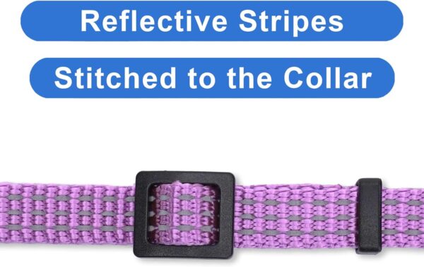 Pawtitas Reflective Cat Collar with Safety Buckle and Removable Bell Cat Collar Kitten Collar Purple Orchid Cat Collar - Image 4