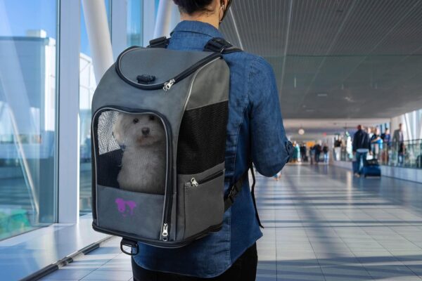 2-in-1 Pet Backpack Travel Carrier, Airline Approved & Guaranteed On Board - Gray, Medium - Image 4