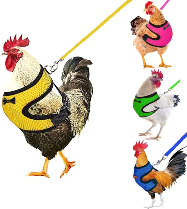 4Pcs Chicken Harness and Leash Set with Adjustable Upgrade and Improvement Breathable Comfortable Suitable for 2-9.5 Ib Chicken, Duck, Goose As Gifts for Festival.（Yellow Blue Green Pink） M