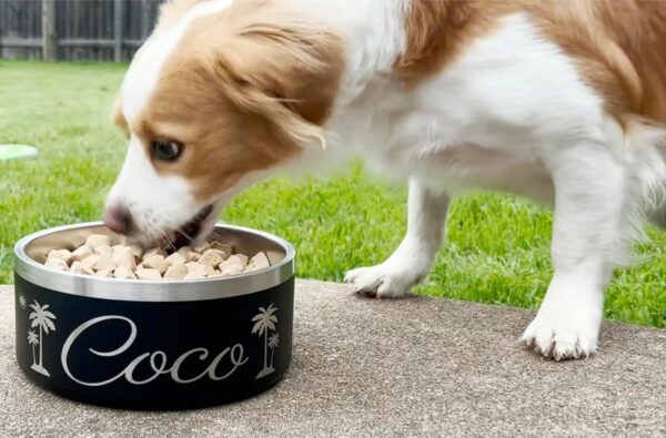 Icon and Name Dog Bowl - Engraved, Nonslip Pet Bowl, Custom Dog Bowl, Custom Cat Bowl, Stainless Steel Dog Bowl, Engraved Pet Bowl, Dog Feeding, Pet Supplies, Pet Food Bowl - Image 6