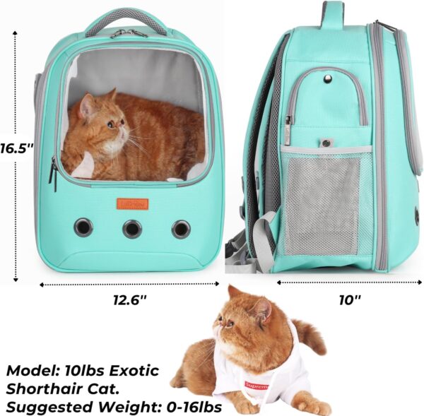 Lollimeow Pet Carrier Backpack, Bubble Backpack Carrier, Cats and Puppies,Airline-Approved, Designed for Travel, Hiking, Walking & Outdoor Use (Green) - Image 3