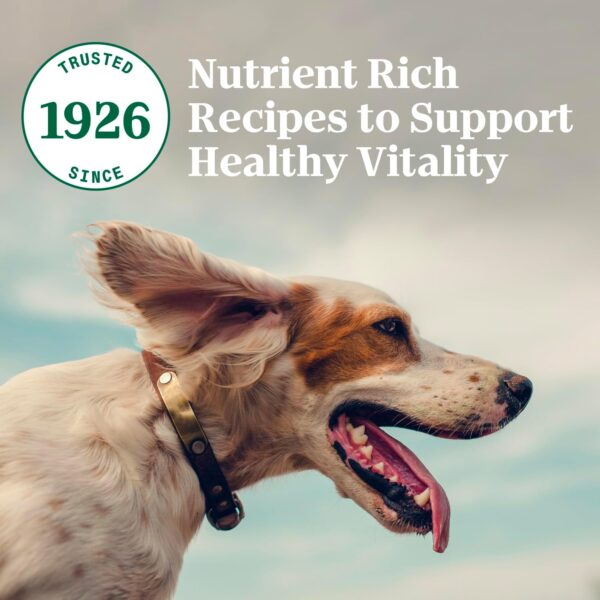 Nutro Natural Choice Small Bites Adult Dry Dog Food, Lamb and Brown Rice Recipe, 12 lbs. - Image 11