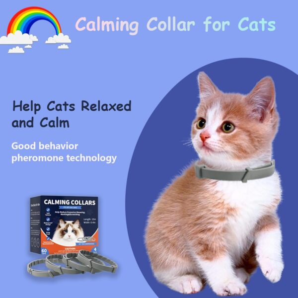 4 Pack Calming Collar for Cats, Cat Calming Pheromones Indoor and Outdoor Activities, Natural Scent Adjustable Fit Kittens to Large Cats Relieve Stress Calming Products - Image 3