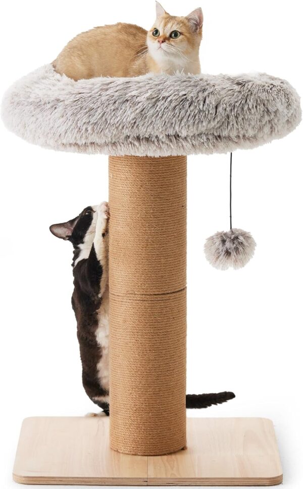 FUKUMARU Cat Scratching Post with Plush Bed, 2 in 1 Tall Kitten Scratch Post with Jute Rope, 5.5 Inch Width Sturdy Claw Scratch Pole with Perch, Cat Tree with Bed for Most Cats