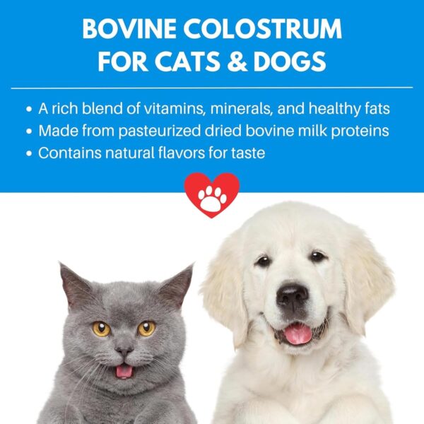 Bio-Active Bovine Colostrum for Dogs, Cats, Puppies, Kittens & Pets - Daily Colostrum Powder Supplement 240g (480 Servings) - Image 3