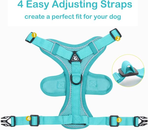 No Pull Dog Harnes with 5FT Dog Basic Leash, Breathable Soft Sandwich Air Mesh, Triangle Stable Ring, Reflective Stripes, Lightweight Pet Vest Harness for Small Dogs Cats Kitten Green S - Image 2