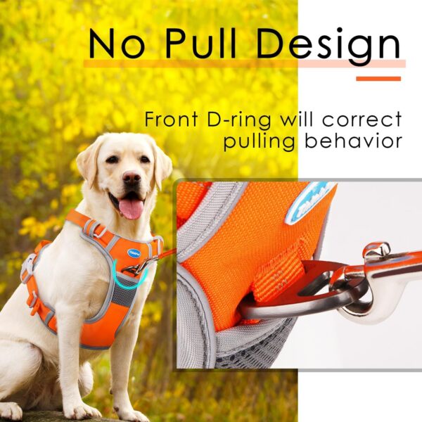 ThinkPet No Pull Harness set Breathable Sport Harness with Handle - Reflective Padded Dog Safety Vest with Reflective Neon Dog Leash S Harness Leash Pack Orange - Image 2