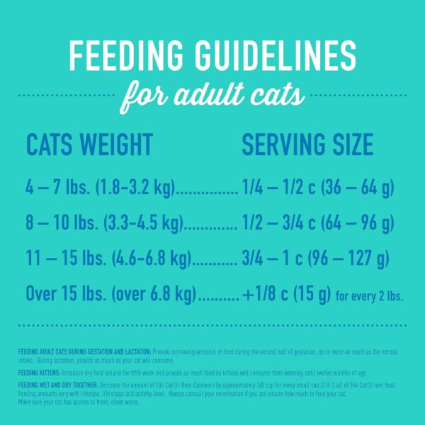 Tiki Cat Born Carnivore High Protein, Herring & Salmon Meal, Grain-Free Baked Kibble to Maximize Nutrients, Dry Cat Food, 2.8 lbs. Bag - Image 7