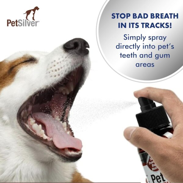 PetSilver Teeth & Gum Spray, Patented Chelated Silver, Dog Teeth Cleaning, Natural Dog Breath Freshener, Cat Teeth Cleaning Without Brushing, Dog Dental Spray, Made in The USA, 4 oz. - Image 5