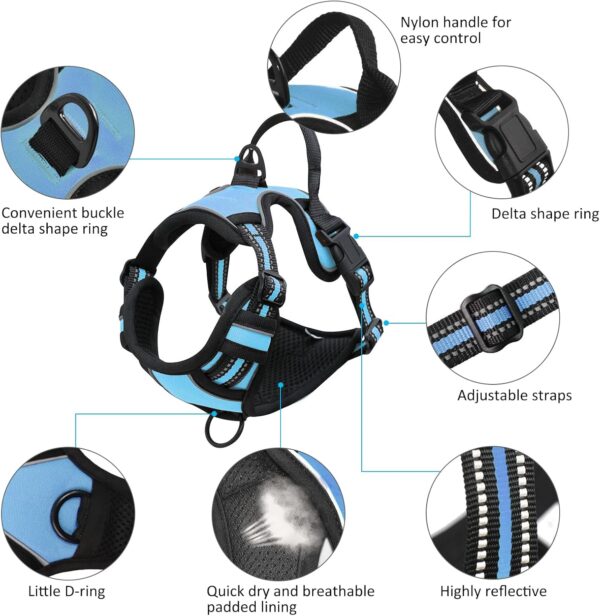 Dog Harness and Leash Set, No Pull Dog Harness with 2 Leash Clips and 3 Buckles, Adjustable Reflective Soft Padded Dog Vest with Easy Control Handle (Blue, Large) - Image 3