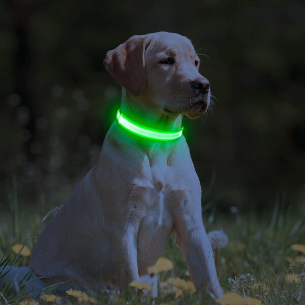 Light Up Dog Collars - USB Rechargeable LED Dog Collar, Adjustable Lighted Pet Collar, Reflective Flashing Dog Collar Lights for Night Walking (Large, Green) - Image 6