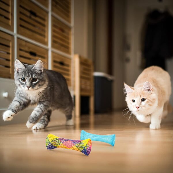 Leitee 60 Pcs Cat Spring Toys Kitten Colorful Fun Tubes Indoor Interactive Cat Tube Plastic Coil for Cats Swat Hunt Scratching, Random Colors - Image 6