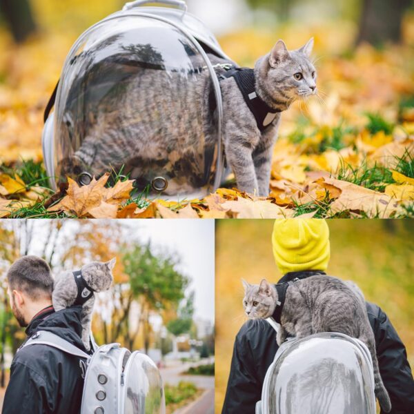 Cat Backpack Carrier, Pet Cat Carrier with Ventilated Design for Carrying Puppy Cats, Pet Carrier Back Pack Bag Space Capsule for Traveling/Hiking/Camping/Outdoors (Grey) - Image 6