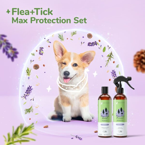 kin+kind Flea and Tick Spray and Shampoo Kit- Shampoo and Spray Set- Shampoo for Dogs, Spray for Dogs- for Tick and Flea Control Shampoo and Repel Spray- Lavender, 12 oz each - Image 2