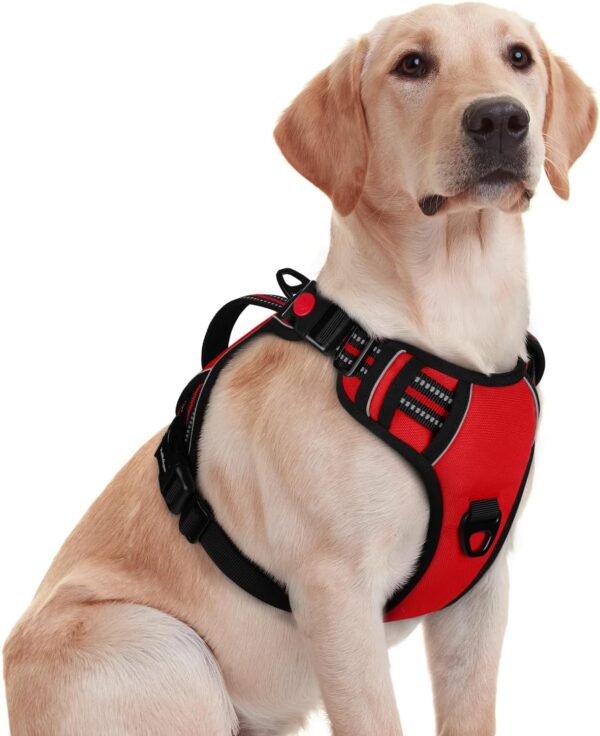 rabbitgoo Dog Harness Medium Sized, No Pull Pet Harness with Soft Padded Handle, Adjustable Reflective Vest with 3 Buckles, Easy Walking Harness with 2 Leash Clips, Red, M