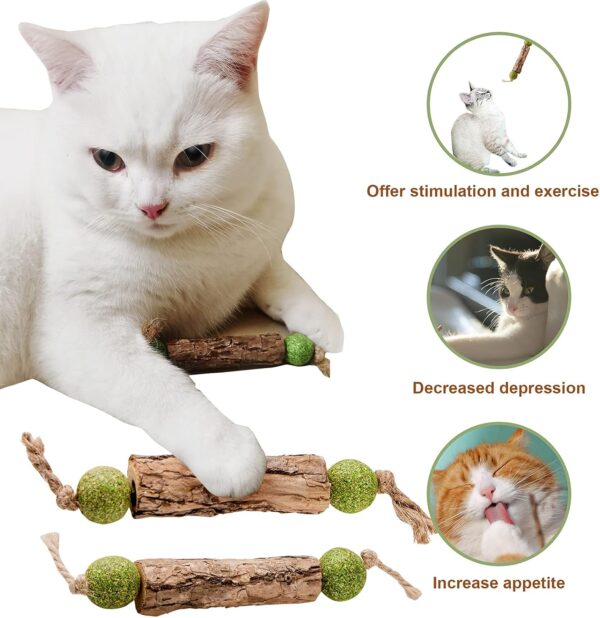 Silvervine Sticks Catnip Toys for Cats, 3 Pack, Interactive Indoor Cat Toy for Teeth Cleaning, Natural Matatabi Chew Treat for Aggressive Chewers. - Image 2