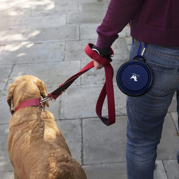 Collapsible Dog Bowls for Travel, 2-Pack Dog Portable Water Bowl for Dogs Cats Pet Foldable Feeding Watering Dish for Traveling Camping Walking with 2 Carabiners, BPA Free - Image 7