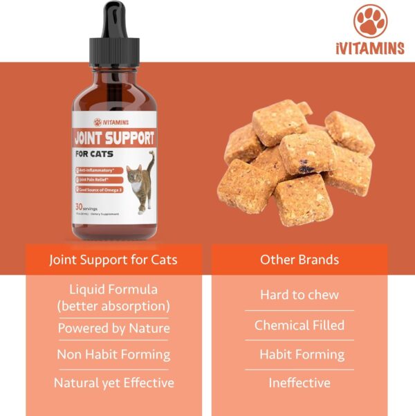 Cat Joint Supplement - Cat Joint Pain Relief - Cat Hip and Joint Supplements Pain Relief - Cat Joint Supplements - Joint Support for Cats - Hip and Joint for Cats - Cat Joint Support - 1 fl oz - Image 4