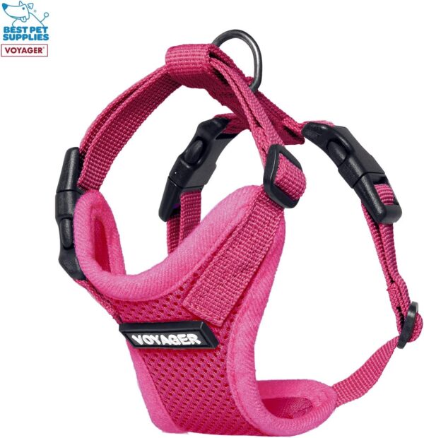 Voyager Step-in Lock Adjustable Cat Harness w. Cat Leash Combo Set with Neoprene Handle 5ft - Supports Small, Medium and Large Breed Cats by Best Pet Supplies - Fuchsia, XXS - Image 5