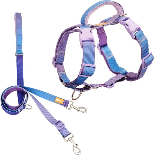 DF Martingale No Pull Dog Harness and Two Point Control Training Leash for Dog Walking Only Works with Martingale Harnesses, Rainbow, Chest 28"-33"