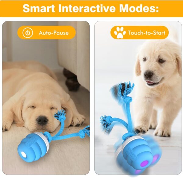 Interactive Dog Toys Ball - Fun Moving Dog Toys to Keep Them Busy | Rechargeable Smart Automatic Dog Ball for Large, Medium, and Small Puppy Dogs for Boredom - Image 6