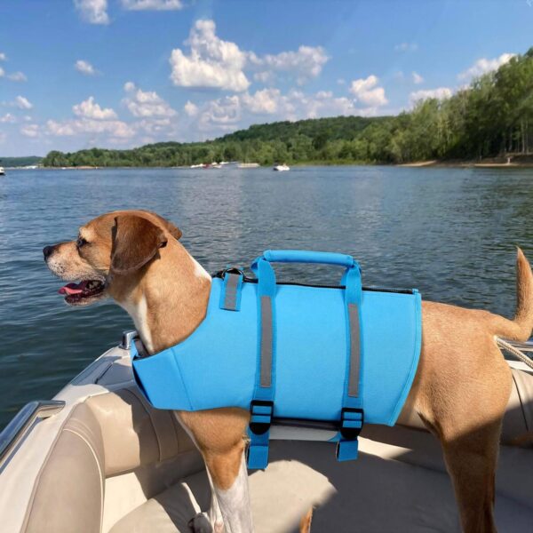 Queenmore Dog Life Jacket, XS Dog Life Vest,High Floating Pet Life Vest for Swimming,Lightweight Adjustable Puppy Life Preserver for Boating,Dog Water Vest with Back Zip,Rescue Handle,Hook (Blue XS) - Image 7