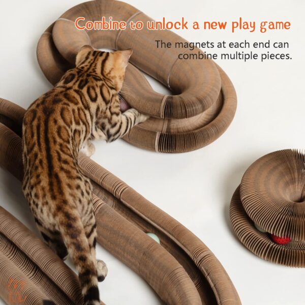 Cat Ball Adventure The Ultimate Interactive Mental & Physical Exercise for Indoor Cats - Image 2