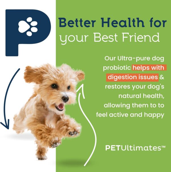 Pet Ultimates Probiotics for Dogs – 22-Species Dog Probiotics for Dog Digestive Support & Dog Antibiotics Recovery – Skin and Coat Supplement for Dogs Enhances Vitality – Dog Health Supplies (137 gr) - Image 2