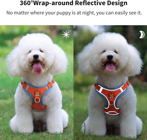 Dog Harness (Orange, S) - Adjustable No-Pull Harness for Small Dogs, Reflective, Soft & Breathable, Anti-Pull, 2 Leash Clips, Easy to Wear & Take Off, Ideal for Walking & Training - Image 6