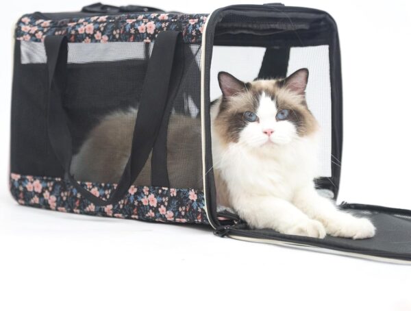 EXPAWLORER Top Load Cat Carrier Large,Pet Carrier Airline Approved for Large, Medium Cats, 2 Cats and Small Dogs,Soft-Sided Collapsible Escape Proof Cat Travel Carrier, Easy to get cat in