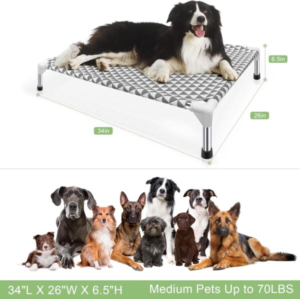 Elevated Outdoor Dog Bed, Medium Size, Cotton Material, Non-Slip Feet, Fits up to 70lbs - Image 6