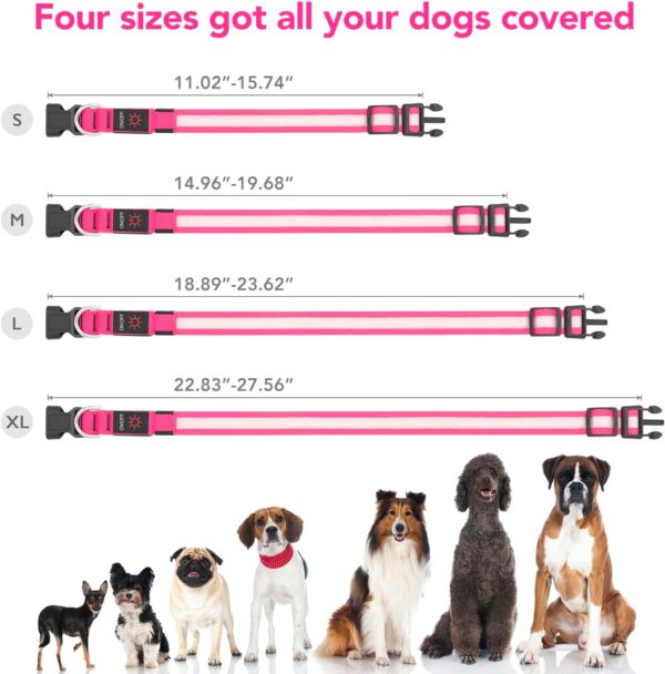 Vizpet LED Dog Collar, Light Up Dog Collar Adjustable USB Rechargeable Super Bright Safety Light Glowing Collars for Dogs (Medium, Pink) - Image 5