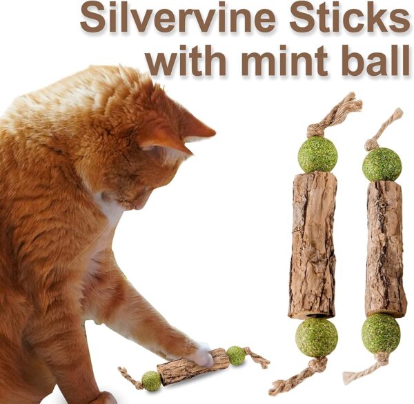 Silvervine Sticks Catnip Toys for Cats, 3 Pack, Interactive Indoor Cat Toy for Teeth Cleaning, Natural Matatabi Chew Treat for Aggressive Chewers. - Image 6