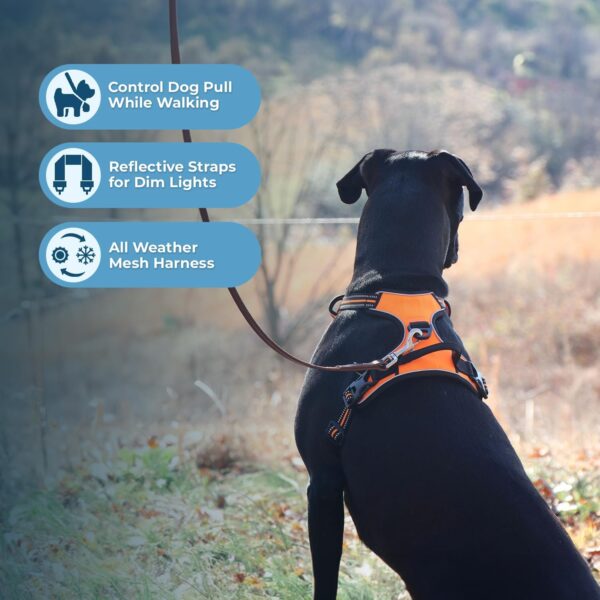 Voyager Dog Harness Dual Leash Attachment No-Pull Control Adjustable Soft but Strong Pet Harness for Medium and Large Dogs with 3M Reflective Technology - Harness Leash Set (Orange), S - Image 5