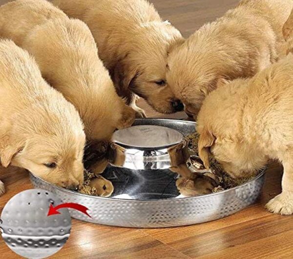 King International Stainless Steel 1 Hammered Slow Feeder Dog Bowl, Puppy Bowl,Puppy Food Bowl,Dog Bowl for Small Dogs,11.4'',Puppy Saucer,Puppy Supplies,Puppy Feeder,Puppy Feeding Bowls for Litters - Image 9