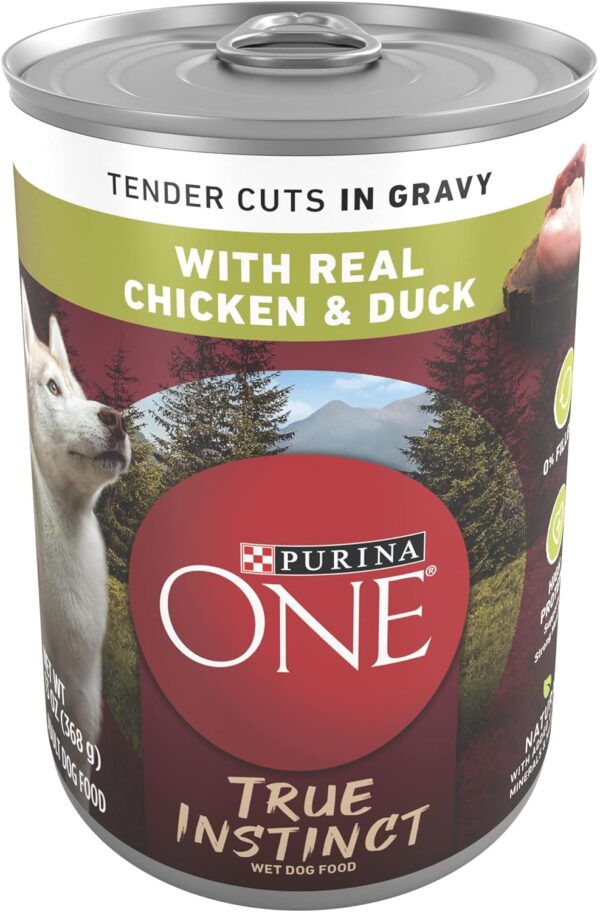 Purina ONE High Protein Wet Dog Food True Instinct Tender Cuts in Dog Food Gravy With Real Chicken and Duck - (Pack of 12) 13 oz. Cans