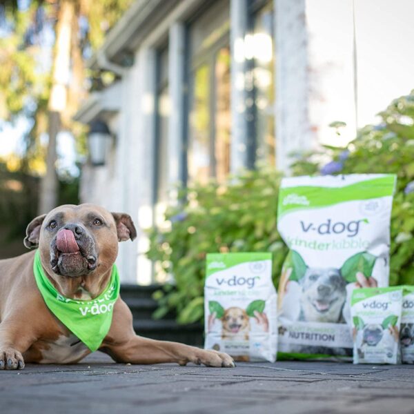 V-dog Vegan Kibble Dry Dog Food (24 LB) | Plant Based Protein with Added Taurine for Sensitive Stomach and Skin | Adult Dog Food | Vegetarian Superfood | Made in US - Image 9