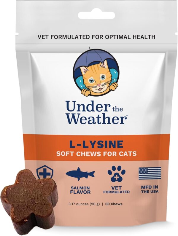 Under the Weather Pet Daily Cat L-Lysine | Boost Immune System Reduce Respiratory Symptoms | Maintain Normal Immune System Response | 60 Star Shaped Soft Chews - Image 2