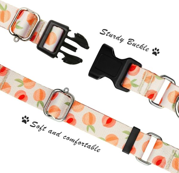 Martingale Collar for Dogs Peach Dog Collar for Small Medium Large Dogs Cute Holiday Summer Dog Collars Pet Gift (Peach,Medium) - Image 2