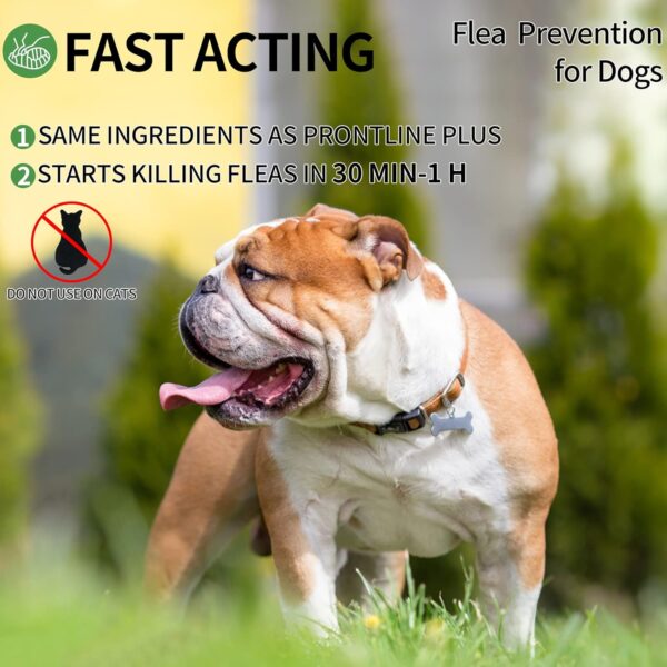 Flea and Tick Prevention for Dogs, Dog Flea & Tick Control with Fipronil, Long-Lasting and Fast-Acting Topical Flea & Tick Treatment Drops for Medium Dogs, 23 to 44 lbs, 3 Doses - Image 6