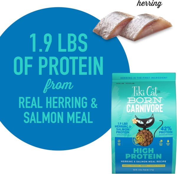 Tiki Cat Born Carnivore High Protein, Herring & Salmon Meal, Grain-Free Baked Kibble to Maximize Nutrients, Dry Cat Food, 2.8 lbs. Bag - Image 6