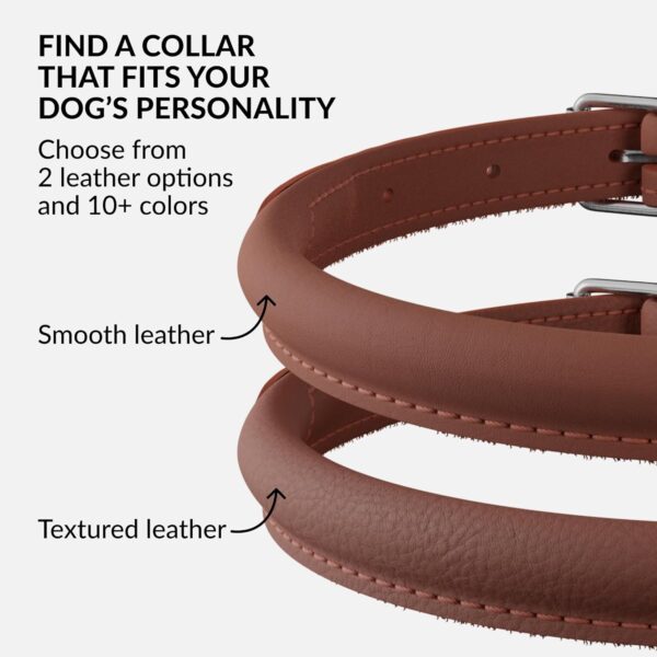 CollarDirect Rolled Leather Dog Collar, Soft Padded Round Puppy Collar, Handmade Genuine Leather Collar Dog Small Large Cat Collars 13 Colors (11-14 Inch, Cinnamon Smooth) - Image 5