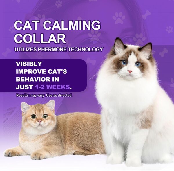 Calming Collar for Cats, 4 Pack Cat Calming Collar, Effective Relief Ancxiety Stress Cat Pheromone Collar, Water-Resistant & Adjustable Cat Calming Collar Fits Cats, Orange - Image 7