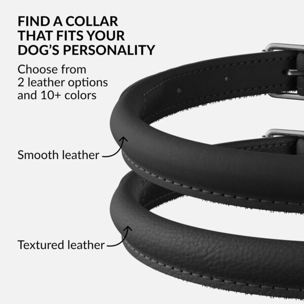 CollarDirect Rolled Leather Dog Collar, Soft Padded Round Puppy Collar, Handmade Genuine Leather Collar Dog Small Large Cat Collars 13 Colors (11-14 Inch, Black Smooth) - Image 5