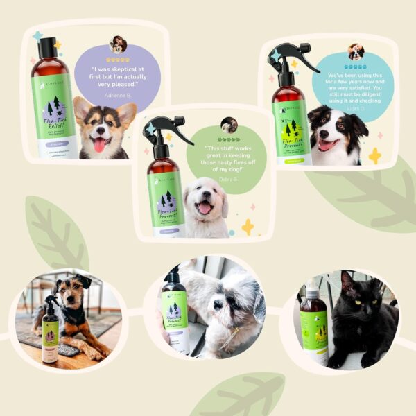 kin+kind Flea and Tick Spray and Shampoo Kit- Shampoo and Spray Set- Shampoo for Dogs, Spray for Dogs- for Tick and Flea Control Shampoo and Repel Spray- Lavender, 12 oz each - Image 8